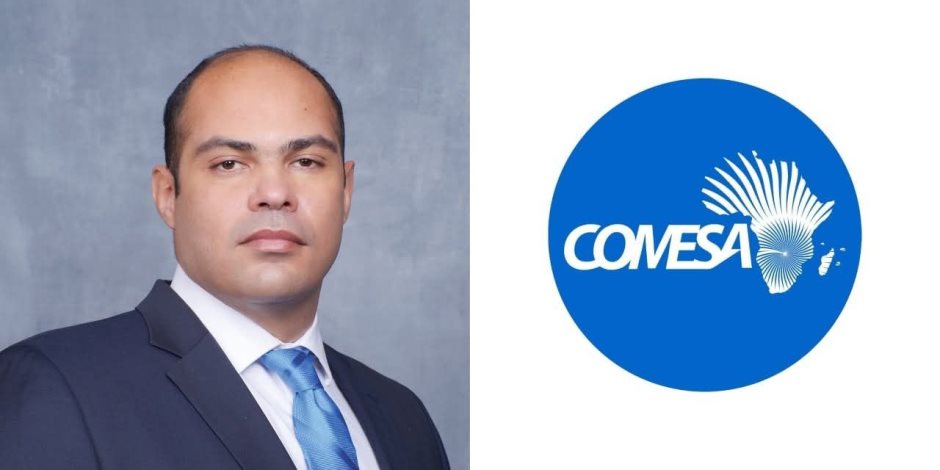 اختيار الدكتور محمود ممتاز رئيسًا للجنة الفصل في المنازعات بمفوضية الكوميسا للمنافسة والمستهلك