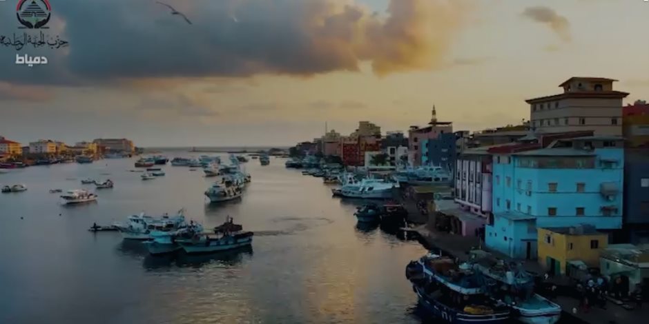 حزب الجبهة الوطنية يبدأ توزيع كراتين رمضان على الأسر الأولى بالرعاية بدمياط (فيديو)