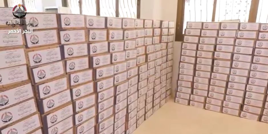 ضمن مبادرة بداية جديدة.. حزب الجبهة الوطنية يبدأ توزيع كراتين رمضان على الأسر الأولى بالرعاية في البحر الأحمر (فيديو)
