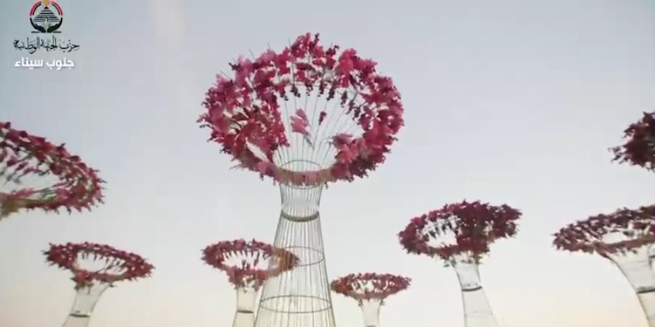 «الجبهة الوطنية» يبدأ توزيع كراتين رمضان على الأسر الأولى بالرعاية في جنوب سيناء