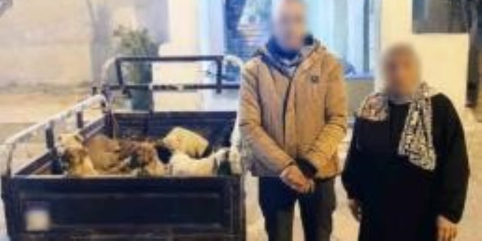 حقيقة فيديو جمع سيدة وشاب صغار الكلاب في جوال بلاستيك بالإسكندرية