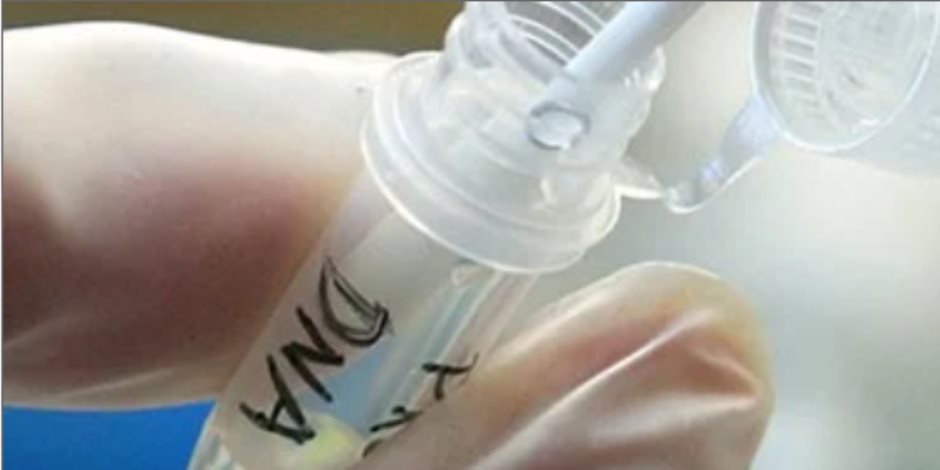 بعد 11 سنة.. تطابق عينة DNA يكشف هوية الطفل فارس المخطوف من مستشفى الشاطبى