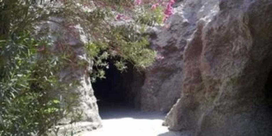 الزراعة : حدائق الحيوان والأسماك جاهزة لاستقبال الزائرين خلال عيد الفطر