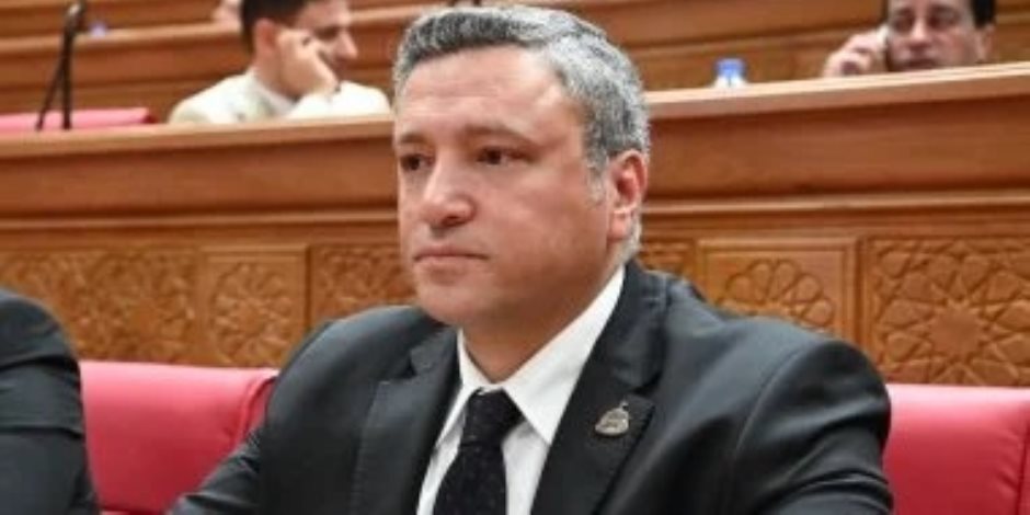 برلمانى تعليقا علي تحركات الرئيس السيسي : تعزز تماسك الجبهة العربية