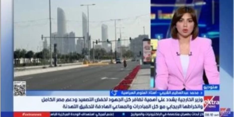 أستاذ علوم سياسية: التحركات المصرية استبقت التصعيد الإقليمى وسعت لمنع انفجار الأوضاع