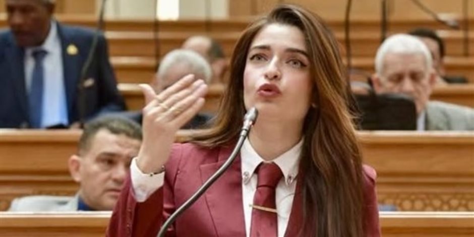 النائبة إيرين سعيد تطالب رئيس النواب بحضور الوزراء خلال مناقشه التشريعات