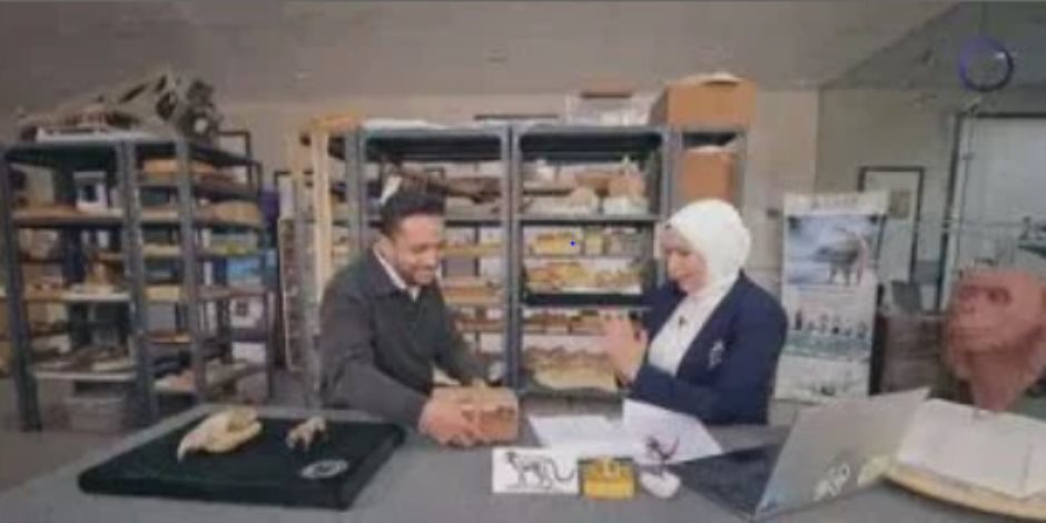 اكتشاف حفرية نادرة بالصحراء الغربية.. "مصر تستطيع" تكشف التفاصيل 