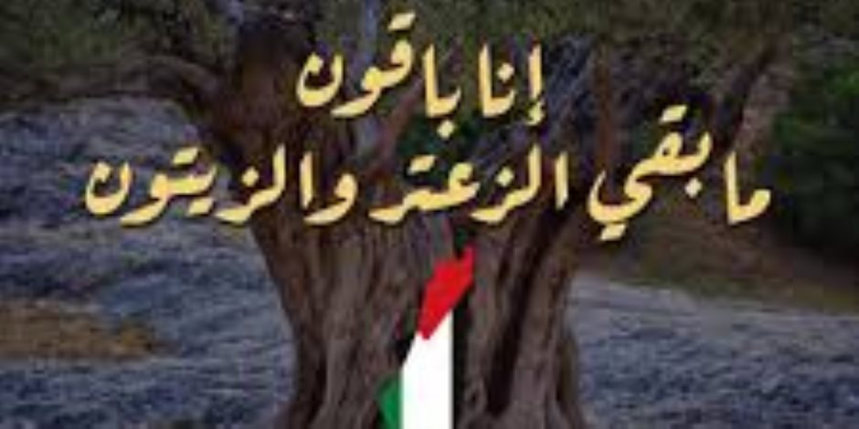 في ذكرى "يوم الأرض".. الجامعة العربية تطالب المجتمع الدولي بوقف "حرب الإبادة" على شعب فلسطين وتحذر من مخططات التهجير القسري