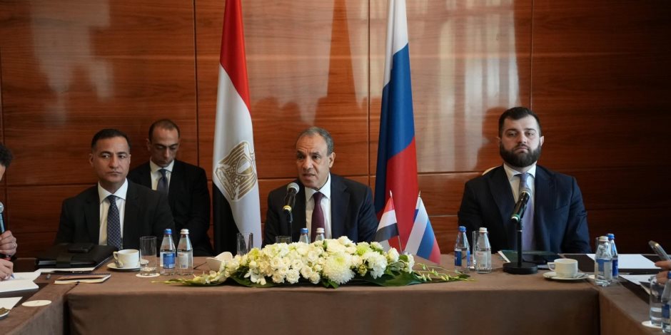 وزير الخارجية: 3 مشروعات روسية كبرى في مصر تسير بشكل جيد الآن