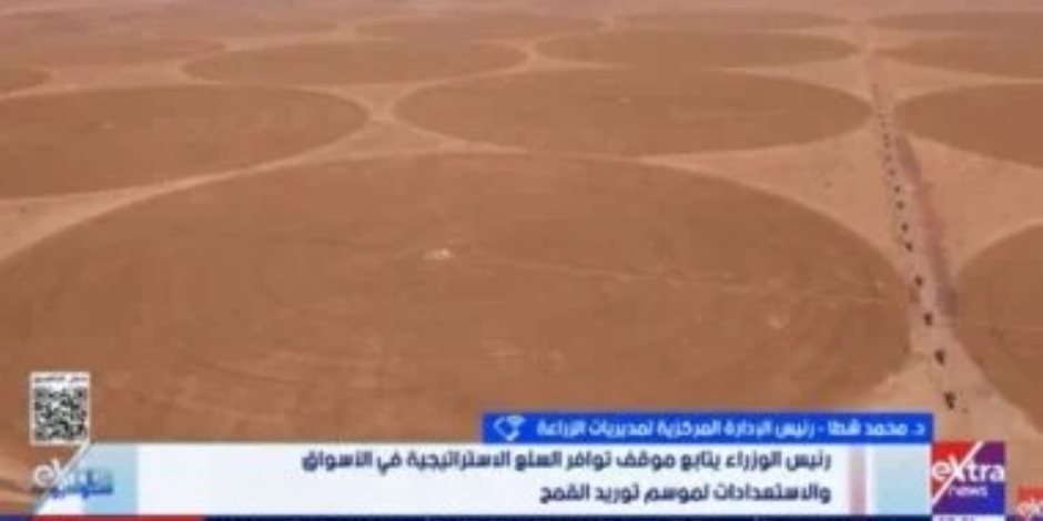 الزراعة: مصر تستهدف توريد 5 ملايين طن قمح وتوفر مخزونا لـ 7 أشهر