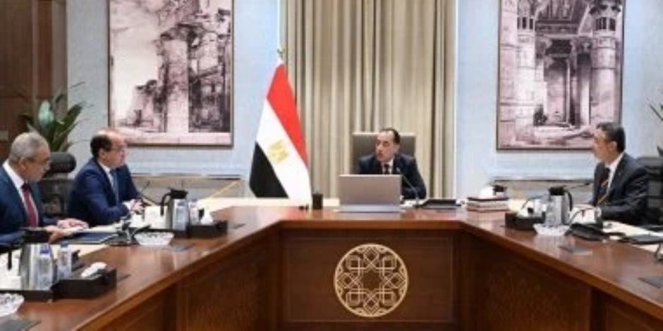 رئيس الوزراء يلتقي الرئيس التنفيذي لشركة "فاليو" الفرنسية