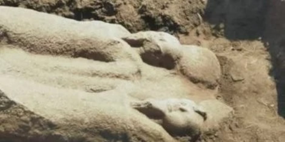 الأثريون بالشرقية يبدأون ترميم ودراسة تمثال رمسيس الثاني المكتشف بتل فرعون