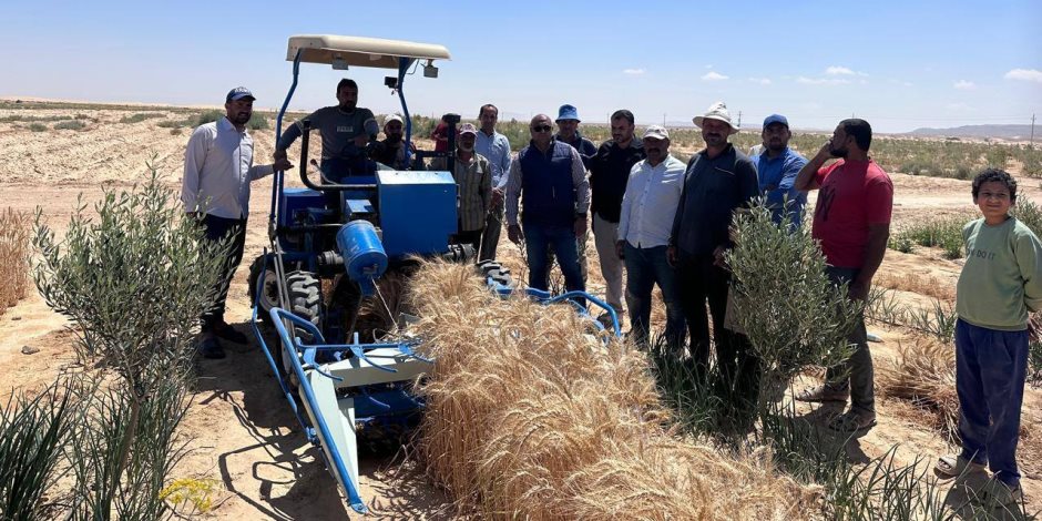 وزير الزراعة: تخصيص 5 ملايين جنيه لتمكين المرأة البدوية بشمال سيناء وتخفيض 50% من خدمات الميكنة