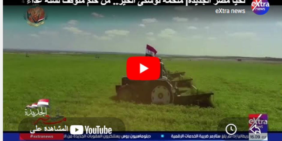 توشكى الخير.. مصر تقهر المستحيل وتعيد إحياء سلة غذاء المصريين بأرقام قياسية