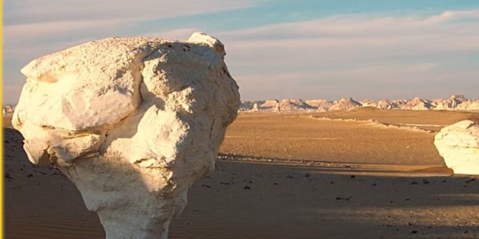 ضمن مشروع "عارف.. أصلك مستقبلك" .. مكتبة الإسكندرية تُطلق وثائقي جديد بعنوان "محمية الصحراء البيضاء" (فيديو)