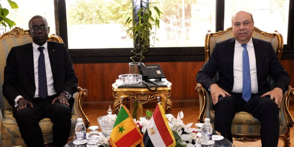 وزير الطيران المدنى يستقبل سفير السنغال بالقاهرة لبحث آفاق التعاون المشترك بين الجانبين