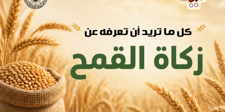 في موسم الحصاد.. الأزهر للفتوى يوضح أحكام زكاة القمح