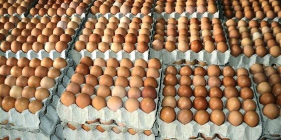 شعبة الدواجن: هبوط كرتونة البيض قرب 90 جنيهًا في الأسواق 