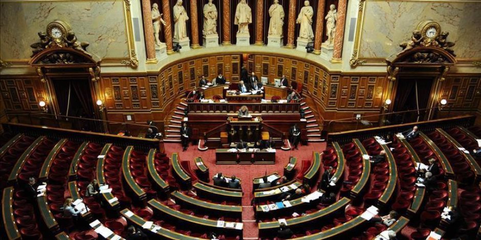 مجموعة الصداقة بالبرلمان الفرنسى: مصر صوت الحكمة وتعمل على تهدئة المنطقة