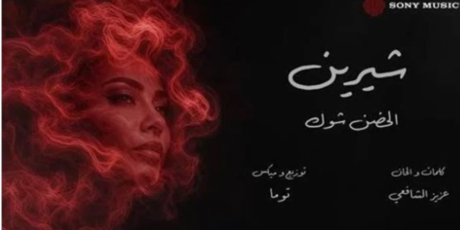 نجوم الفن يدعمون شيرين عبد الوهاب.. آخرهم السقا
