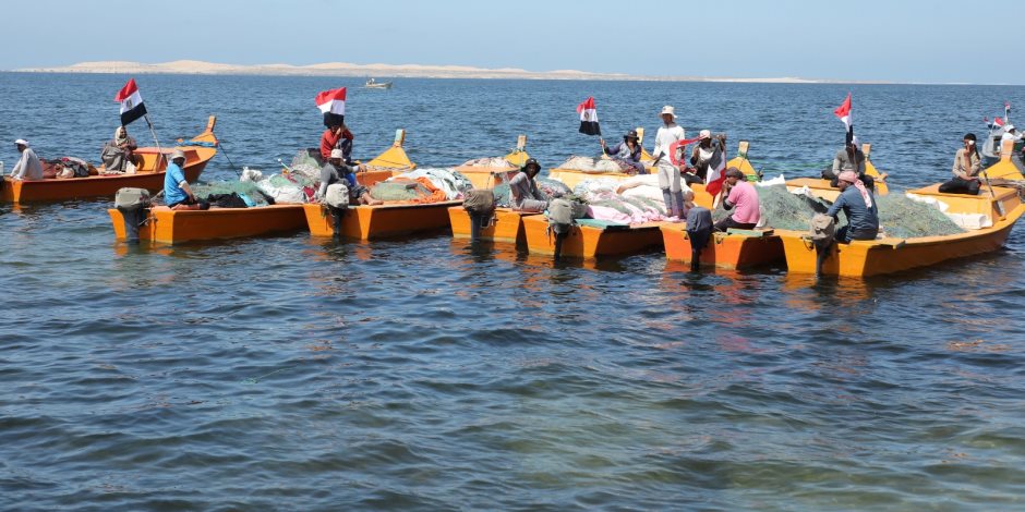 موسم جديد للبردويل.. جهاز مستقبل مصر يقود خطة تطوير البحيرة لدعم الأمن الغذائي والتنمية في سيناء (صور)