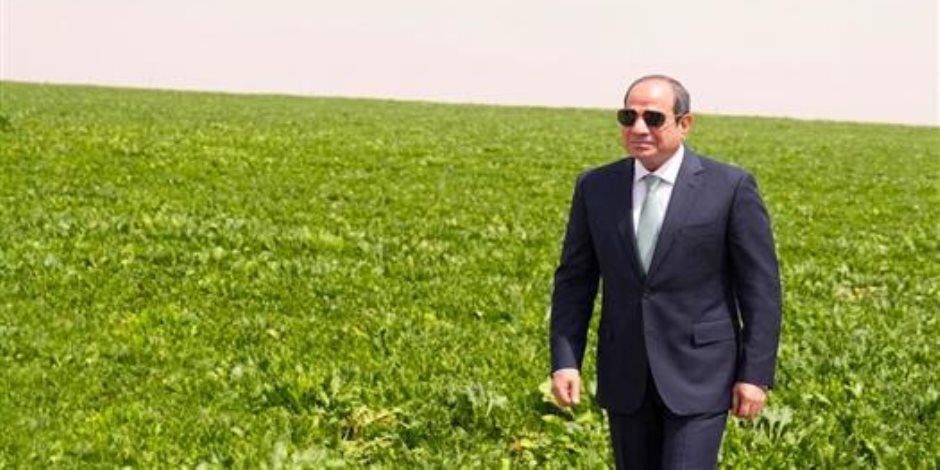 رئيس زراعة الشيوخ: مشروع الدلتا الجديدة يوفر مليونى فرصة عمل