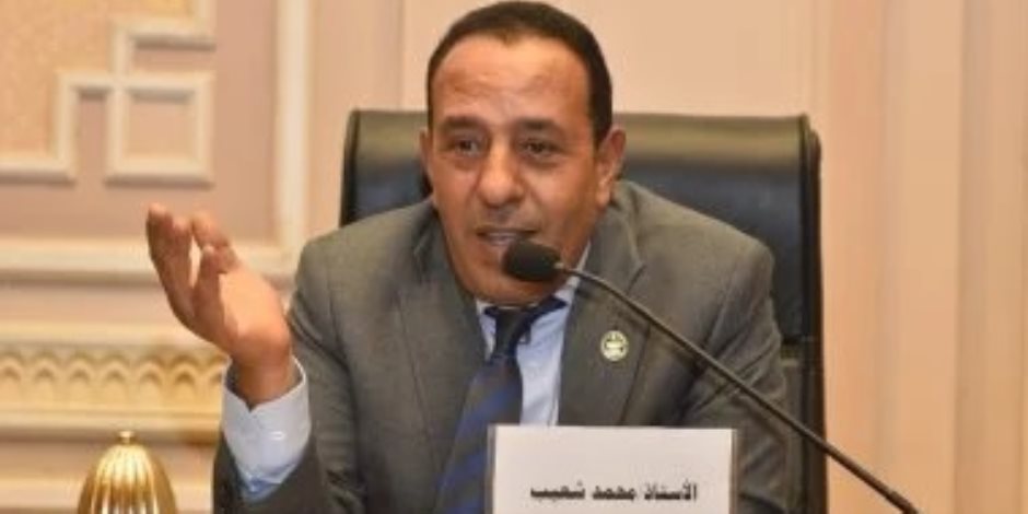 برلمانى: مشروع الدلتا الجديدة جسر الماضي والمستقبل لتعزيز الأمن الغذائي