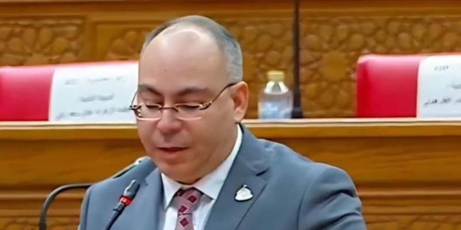 محمد رشوان: مشروع الدلتا الجديدة يعزز الأمن الغذائى ويدعم الاقتصاد الوطنى