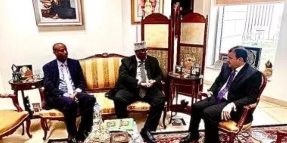 سفير الصومال بالقاهرة: نبذل قصارى جهودنا للإفراج عن البحارة المختطفين بالتنسيق مع مصر