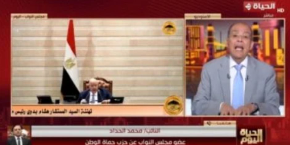 نائب بحماة الوطن لـ الحياة اليوم: قانون الأسرة يستهدف حماية تماسك الأسر