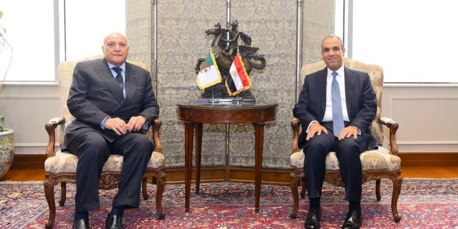 تحرك مصرى جزائرى عاجل بشأن ليبيا.. دعم للانتخابات ورفض التدخلات الخارجية
