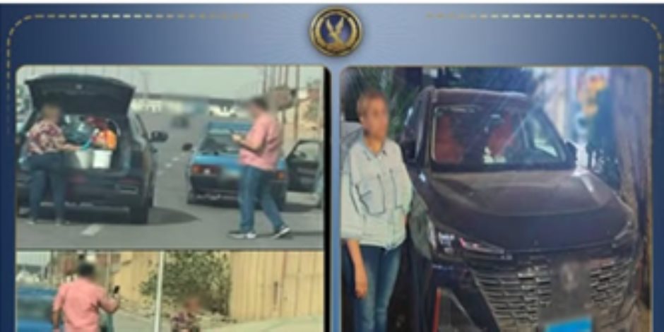 مصدر أمني: تناول الكلاب الضالة مخلفات لحوم يؤدي لإصابتها بأمراض وزيادة شراستها 
