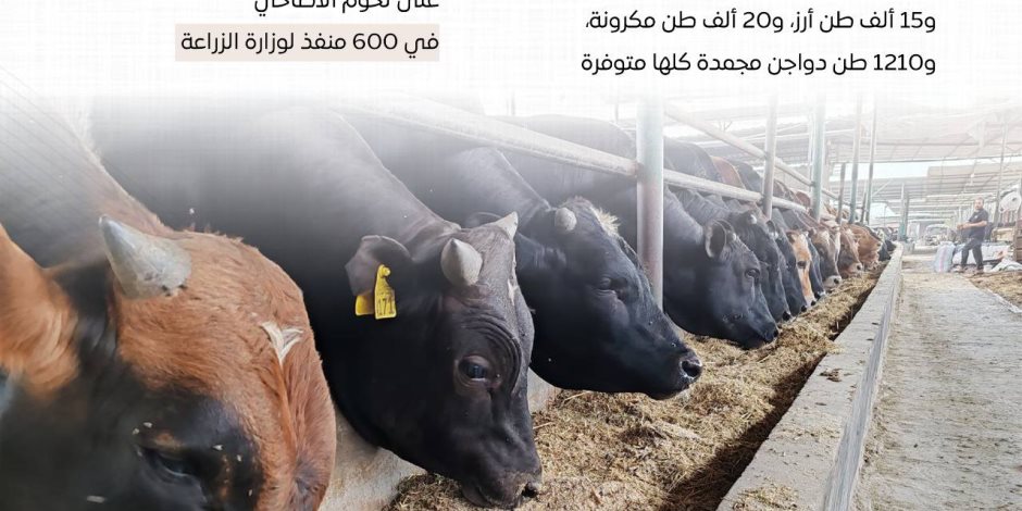 الدولة تكثف جهودها لتوفير الأضاحي واللحوم بأسعار مناسبة استعدادًا لعيد الأضحى