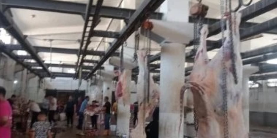 فتح المجازر بالمجان وحظر بيع الأضاحي في الطرق العامة.. قرارات محافظة القاهرة