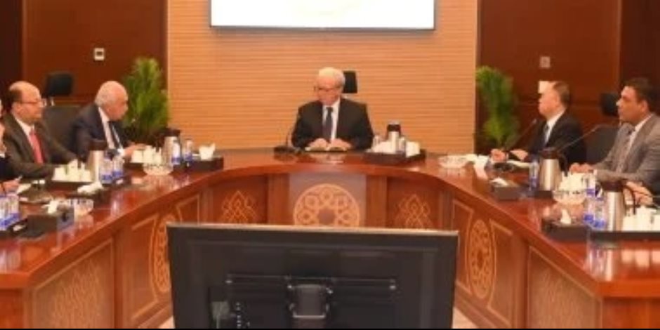 نائب رئيس الوزراء يبحث مع أكبر شركة صينية للإطارات توسعاتها الجديدة في مصر باستثمارات 550 مليون دولار
