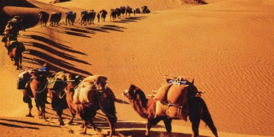 دار الإفتاء توضح حكم التهنئة بالعام الهجري الجديد
