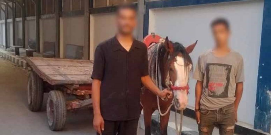 ضبط شخصين لإلقائهما المخلفات بعربة كارو في المرج