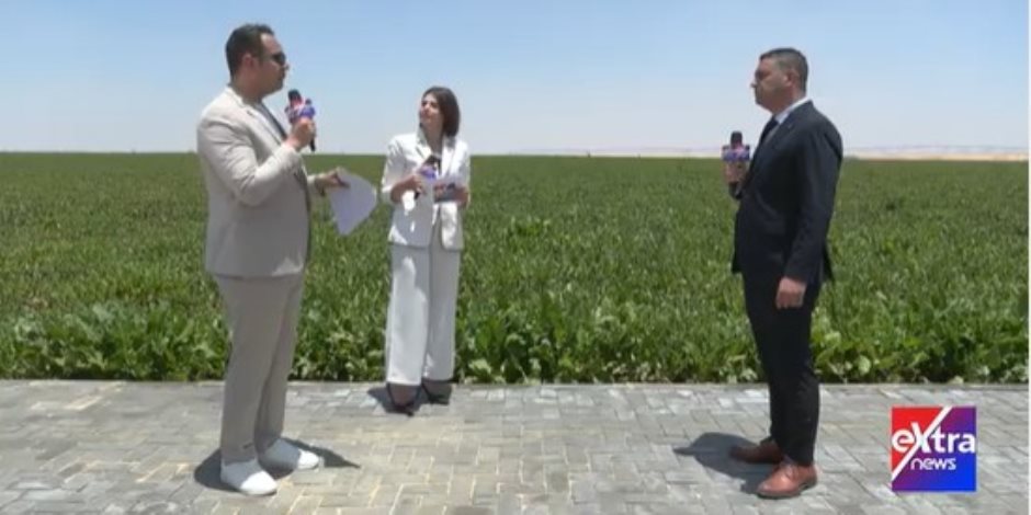 شاهين حامد: الدراسات العلمية والشراكات الاستثمارية وراء نجاح مشروع الدلتا الجديدة