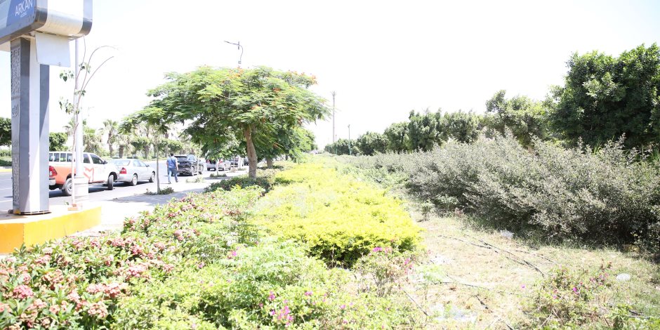 وزيرة الإسكان تتابع أعمال تطوير الطرق ومداخل مدينة بدر