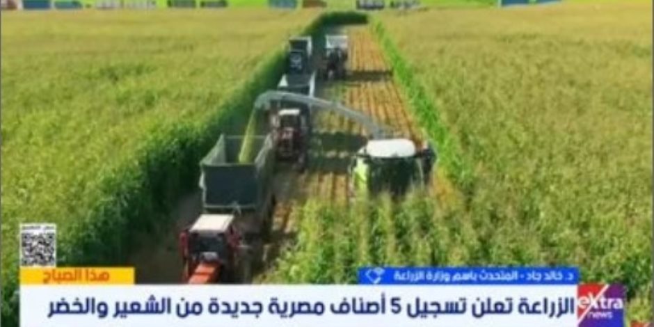 وزارة الزراعة: استنباط 25 صنفاً من القمح و30 هجيناً من الذرة
