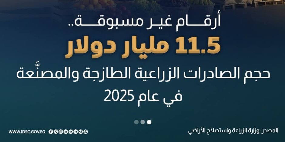 11.5 مليار دولار قيمة صادرات مصر الزراعية الطازجة والمصنعة عام 2025.. «تنمية الصادرات»: دراسة فرص التوسع الأفقي والرأسي