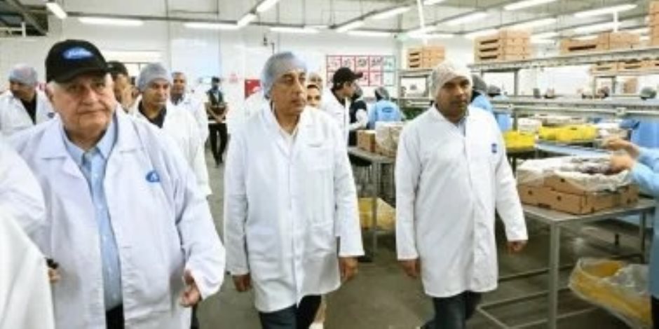 وزير الزراعة: إنتاج مصر من اللحوم الحمراء يصل إلى 600 ألف طن