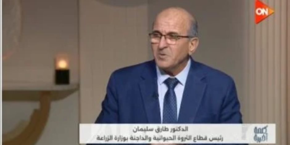 الزراعة: 11 مليار جنيه تمويلات لدعم صغار المربين وزيادة إنتاج اللحوم