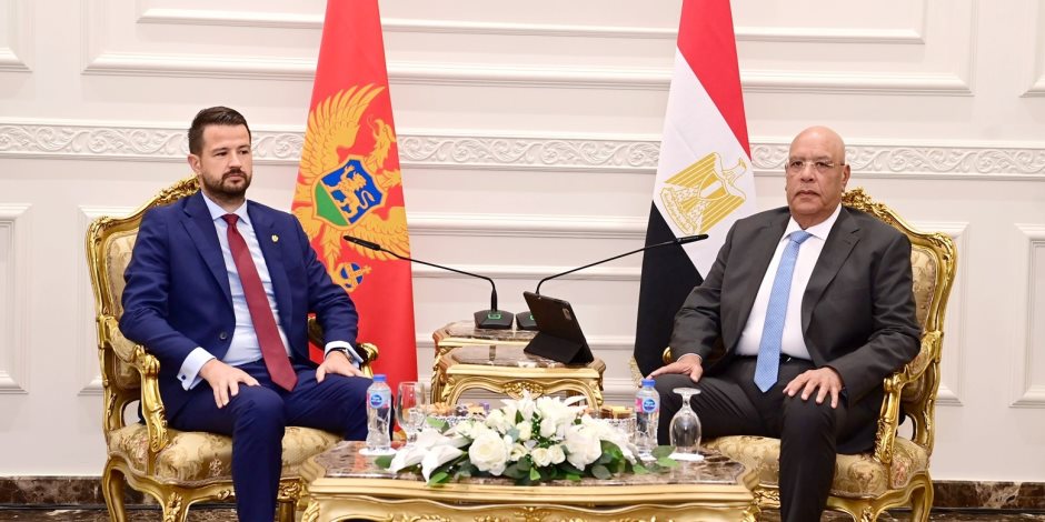 هشام بدوي يستقبل رئيس جمهورية الجبل الأسود.. تأكيد على تعزيز الشراكة ودعم القضية الفلسطينية