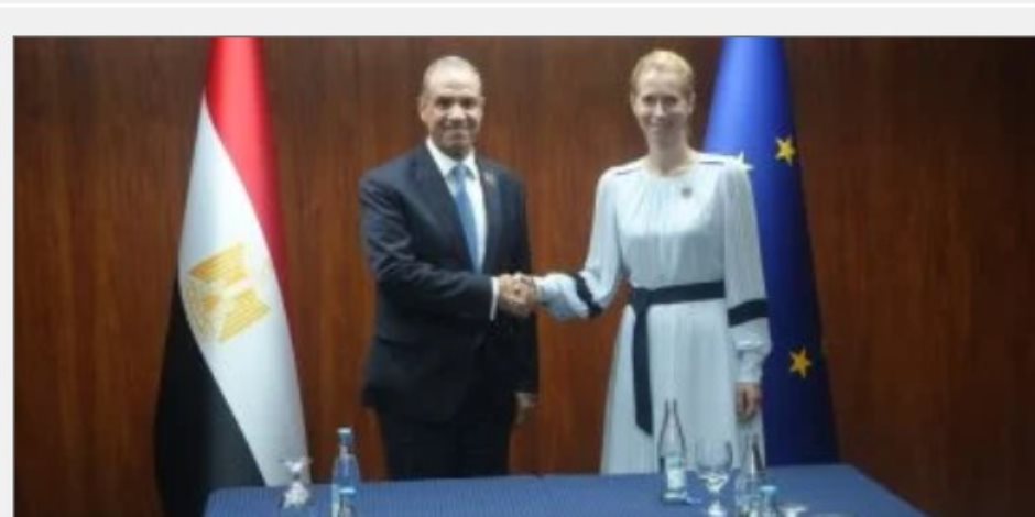 لاستضافتها ملايين الأجانب.. وزير الخارجية يستعرض مع مسؤولة أوروبية أعباء مصر الاقتصادية 