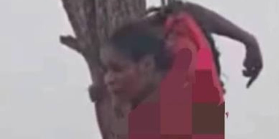 بعد جريمة هزّت الضمير الإنساني.. الجيش السوداني يعلن القبض على عنصر بالدعم  متهم بقتل النازحة" قسمة علي عمر"