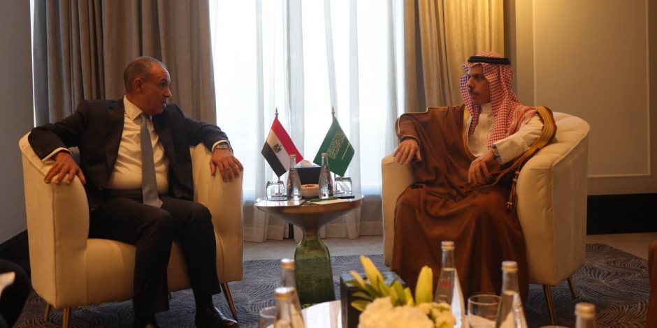 وزير الخارجية يلتقي نظيره السعودي على هامش الاجتماع الوزاري حول القدس في عمّان