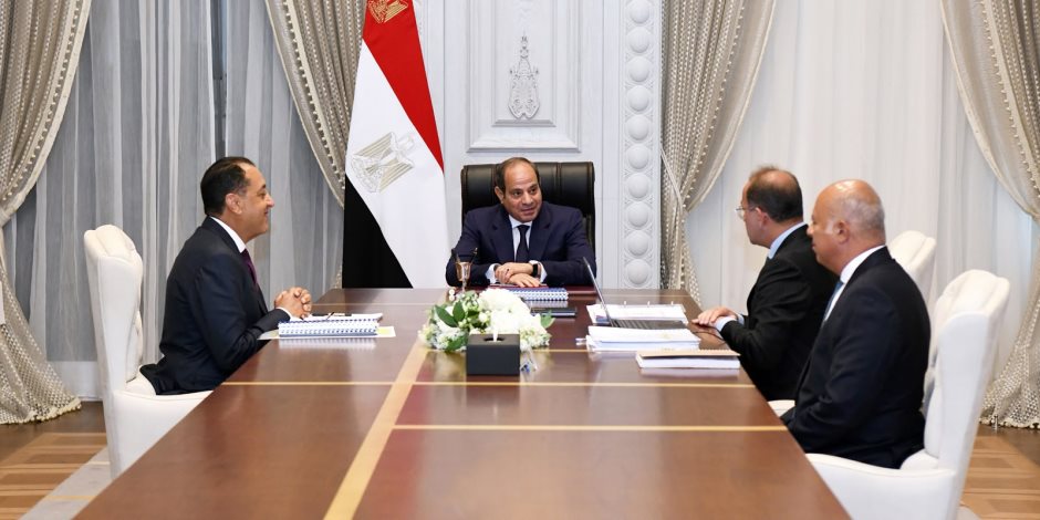 وزير المالية يستعرض مبادرات لتحفيز تحويل قطاع الصناعة للعمل بالطاقة الشمسية
