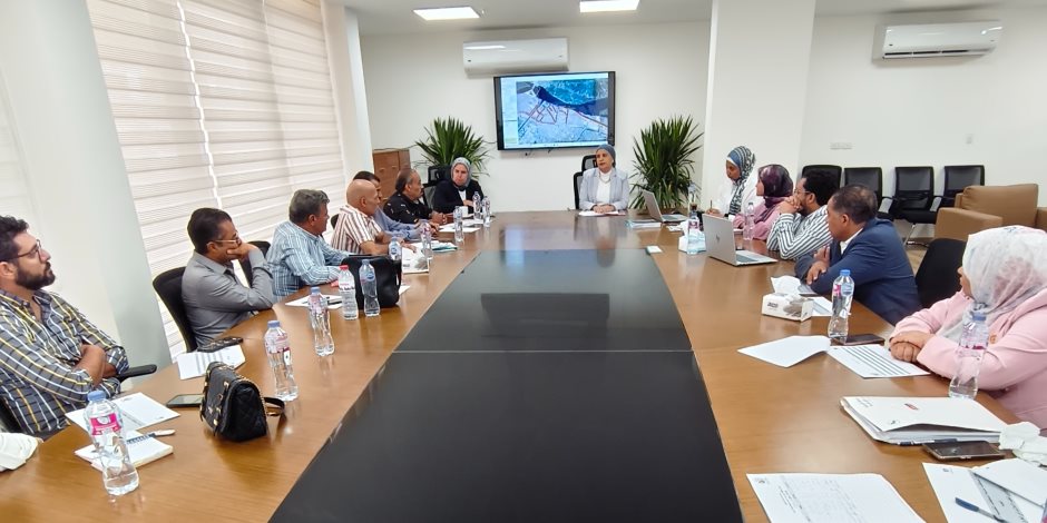 "القومي لتنظيم الإعلانات" للمحافظات: لا تجديد للتراخيص إلا وفقا للمخططات الجديدة