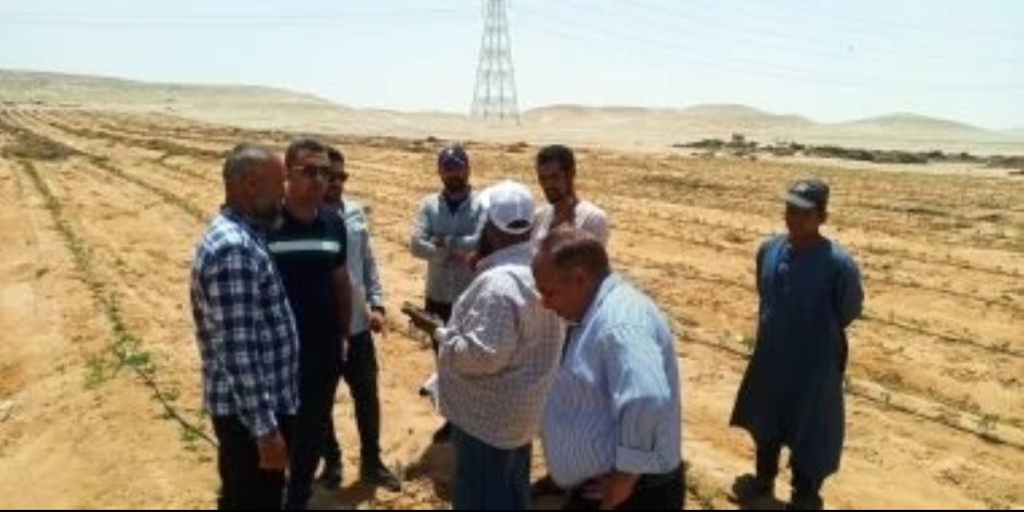 ثمرة جديدة للتعاون المصرى الصينى .. مدينة نسيجية بالمنيا توفر 250 ألف فرصة عمل لأبناء المحافظة والصعيد.